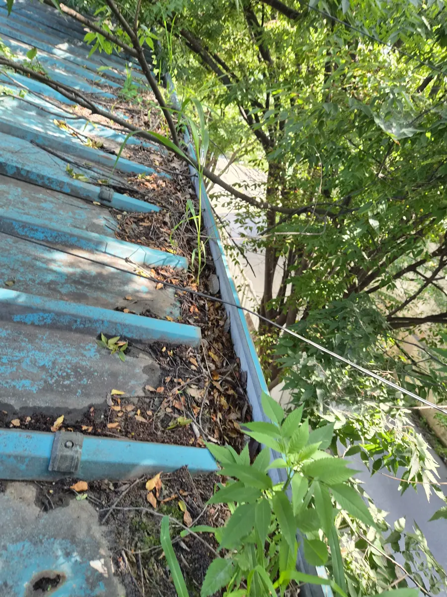 봉담읍 공장하자보수 판넬 골에 낙엽과 잡초가 쌓인 지붕면