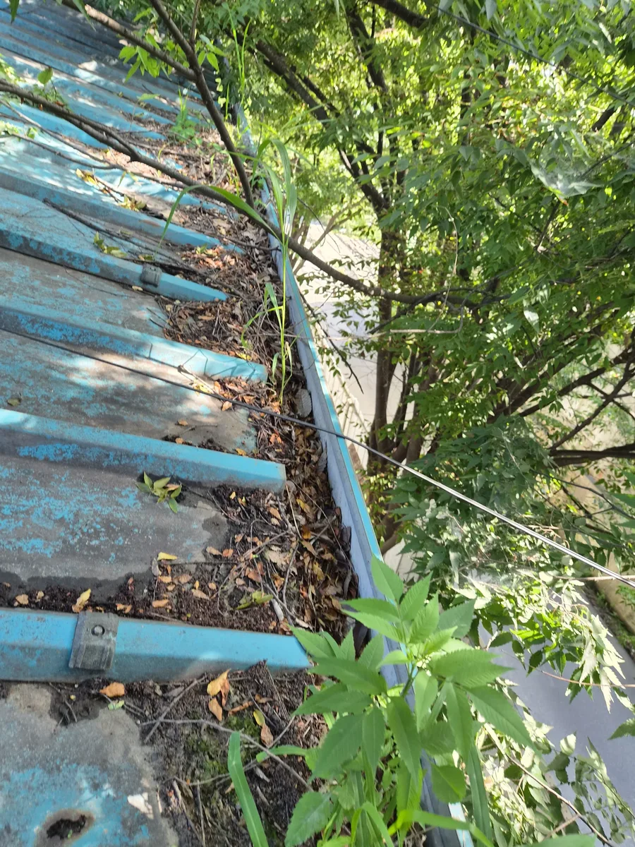 공장하자보수 전문업체 잡초가 올라온 지붕 판넬 홈통 구간