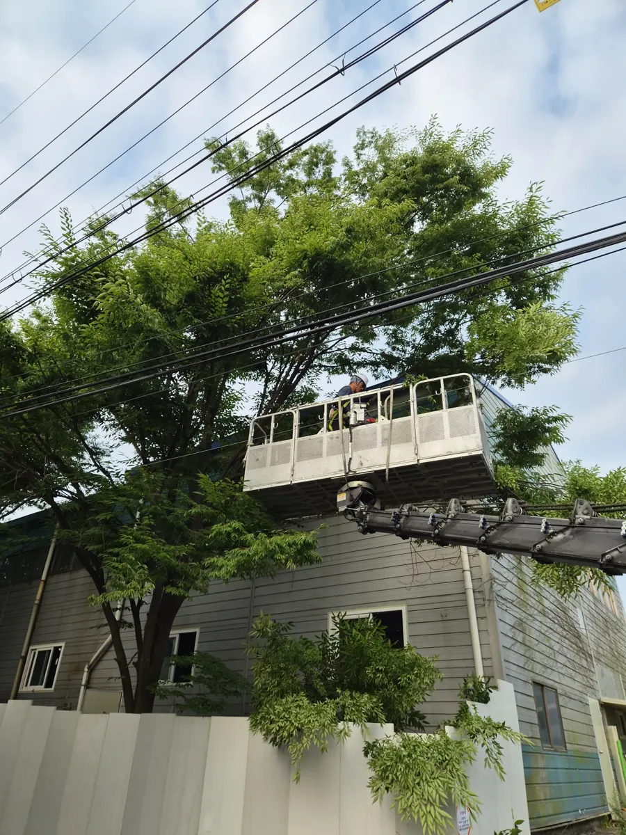 공장 정기 유지보수 수목 너머로 보이는 옥상 구조물과 주택